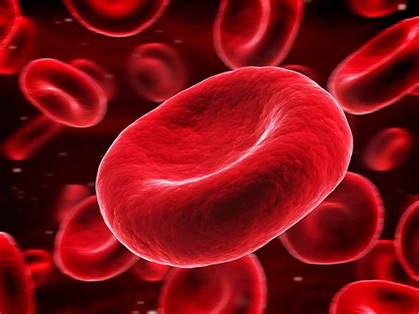 紅血球濃厚液 (Red Blood Cells ) .
